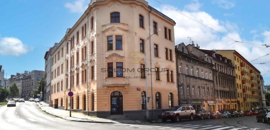 Pronájem bytu, 1+kk, 26 m2. Sklep. Po celkové rekonstrukci. Praha 4 – Podolí.