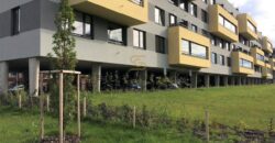 Pěkný byt v Letňanech k pronájmu 1+kk, 45 m², 2.patro, parkování, komora