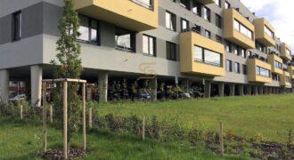 Pěkný byt v Letňanech k pronájmu 1+kk, 45 m², 2.patro, parkování, komora
