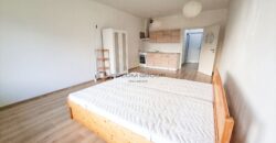 Pěkný byt v Letňanech k pronájmu 1+kk, 45 m², 2.patro, parkování, komora