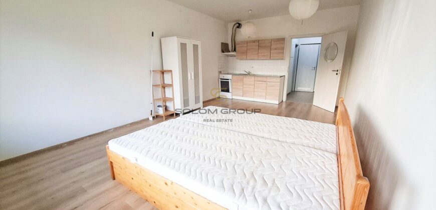 Pěkný byt v Letňanech k pronájmu 1+kk, 45 m², 2.patro, parkování, komora