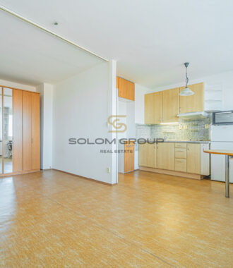 Prodej bytu 1+kk, 30  m², po částečné rekonstrukci, Praha – Hloubětín