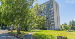 Prodej bytu 1+kk, 30  m², po částečné rekonstrukci, Praha – Hloubětín