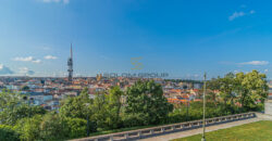 Prodej bytu 1+kk,OV, 30 m², Praha 3, Rezidence Milíčova, po rekonstrukci