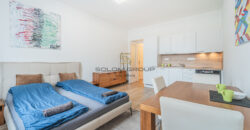 Prodej bytu 1+kk,OV, 30 m², Praha 3, Rezidence Milíčova, po rekonstrukci