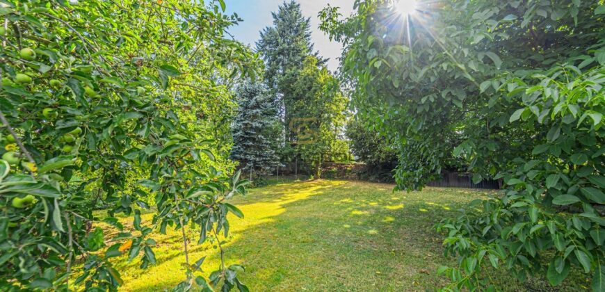 Prodej rekreačního domu 3+kk + dům pro hosty + garáž + bazén + pozemek o výměře 1.195 m². Velký Bor.