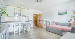 Prodej bytu 1+kk/L, 39 m², OV, V Dolině, Praha 10 – Michle