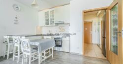Prodej bytu 1+kk/L, 39 m², OV, V Dolině, Praha 10 – Michle