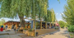 Prodej bytu 1+kk/L, 39 m², OV, V Dolině, Praha 10 – Michle