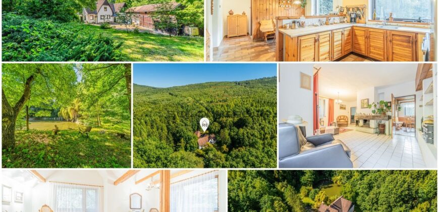 Prodej rodinného domu 6+1 s lesem, rybníky a bazénem – Hostomice pod Brdy, okres Beroun
