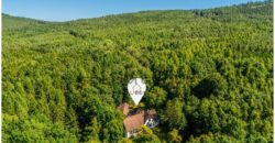 Prodej rodinného domu 6+1 s lesem, rybníky a bazénem – Hostomice pod Brdy, okres Beroun