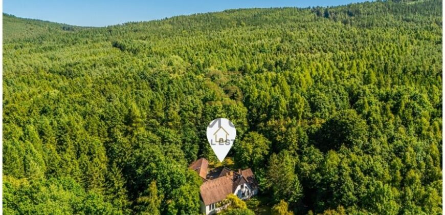 Prodej rodinného domu 6+1 s lesem, rybníky a bazénem – Hostomice pod Brdy, okres Beroun