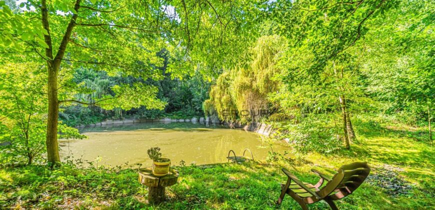 Prodej rodinného domu 6+1 s lesem, rybníky a bazénem – Hostomice pod Brdy, okres Beroun