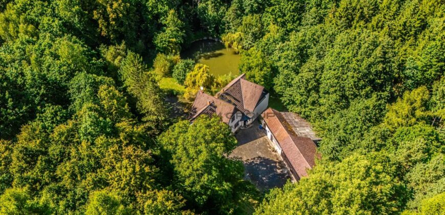 Prodej rodinného domu 6+1 s lesem, rybníky a bazénem – Hostomice pod Brdy, okres Beroun
