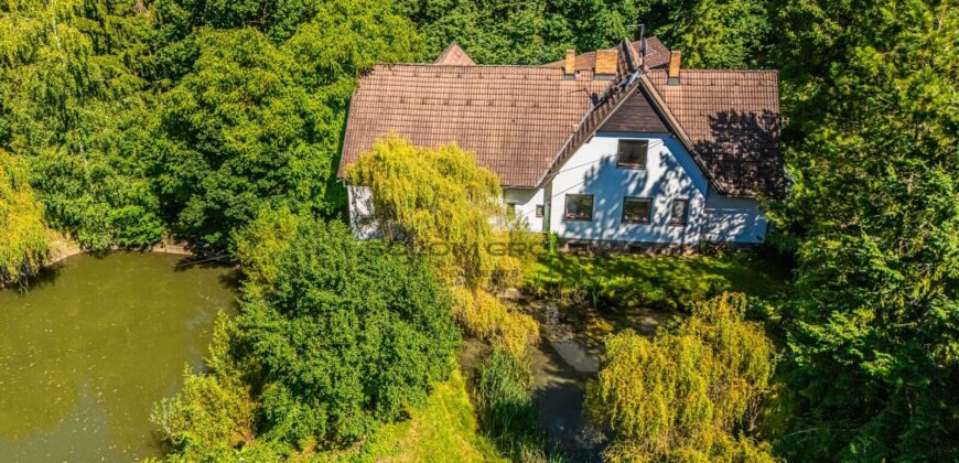 Prodej rodinného domu 6+1 s lesem, rybníky a bazénem – Hostomice pod Brdy, okres Beroun