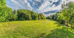 Prodej RD, 5+2, pozemek o výměře 10.070 m², 6x parkovací stání, možnost půdní vestavby. Chotilsko