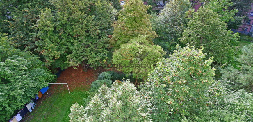 Pronájem bytu 2+kk + komora v bytě + sklep, 48 m². Po úpravách. Žižkov