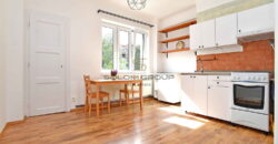 Pronájem bytu 2+kk + komora v bytě + sklep, 48 m². Po úpravách. Žižkov