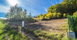Prodej stavebního pozemku, 1.364 m², Hradiště – Písek