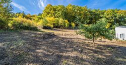 Prodej stavebního pozemku, 1.364 m², Hradiště – Písek