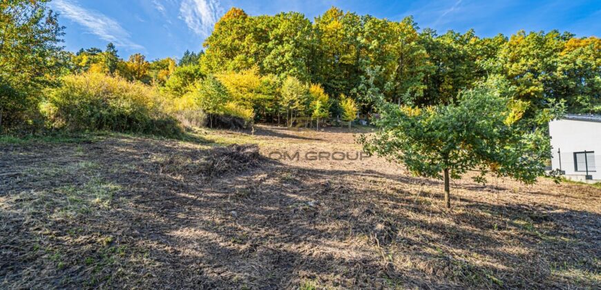 Prodej stavebního pozemku, 1.364 m², Hradiště – Písek