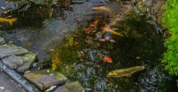 Prodej komplexu dvou rodinných domů, Rudná u Prahy