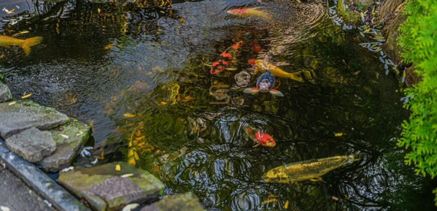 Prodej komplexu dvou rodinných domů, Rudná u Prahy