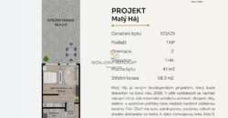 Prodej NOVÉHO bytu 2+kk/Balkon, 98,5 m² + parkovací stání + sklep, Novostavba. Praha 10