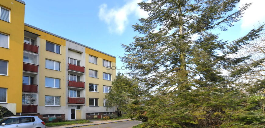 Pronájem bytu 3+1/Lodžie, 87 m² + sklep, po úpravách, Kosmonosy