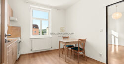 Pronájem bytu 1+1 + sklep, 41,5 m². Po úpravách. Beroun