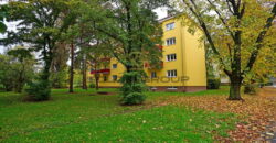 Pronájem bytu 2+1/Balkón + komora v bytě + sklep, 58 m², po úpravách, Hloubětín