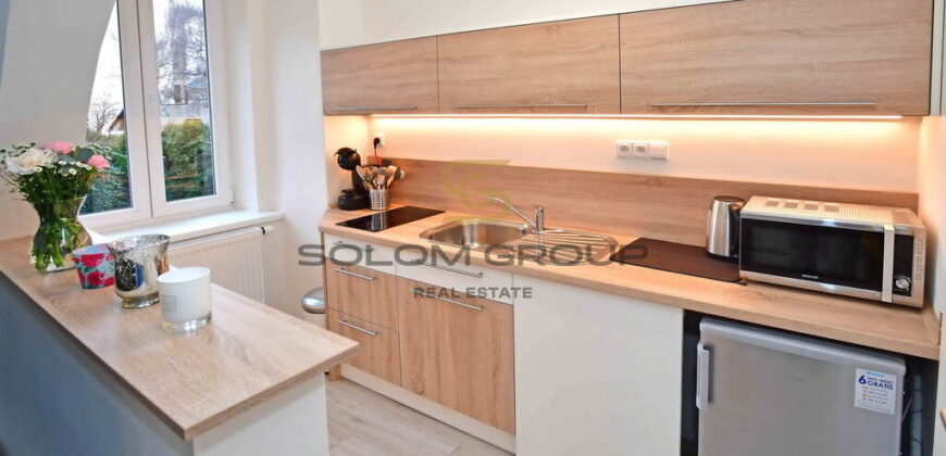 Pronájem bytu 1+kk, 25 m²,  Po úpravách, Výborná dopravní dostupnost, Smíchov