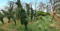 Pronájem bytu 2+1/možno jako 3+kk, 2x balkon, 2x komora v bytě, 92 m², po rekonstrukci. Vinohrady