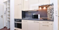 Pronájem bytu 2+1, 42 m² + sklep 5,8 m², 4. NP, výtah, Praha 2 – Vyšehrad, Neklanova