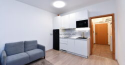 Pronájem bytu 1+kk/Předzahrádka, 65 m², po úpravách, Motol – Smíchov, novostavba