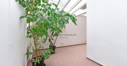 Pronájem nebytového prostoru, 62 m², Vinohrady, po úpravách