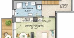 Pronájem NOVÉHO bytu 1+kk/Balkon, 37,4 m² + garážové stání, Dolní Měcholupy
