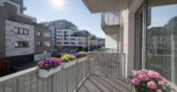 Pronájem NOVÉHO bytu 1+kk/Balkon, 32,5 m² + garážové stání, Dolní Měcholupy, ulice Honzíkova