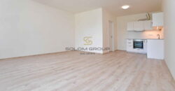Pronájem bytu 1+kk/Balkon, 51 m², po rekonstrukci, Britská Čtvrť, novostavba