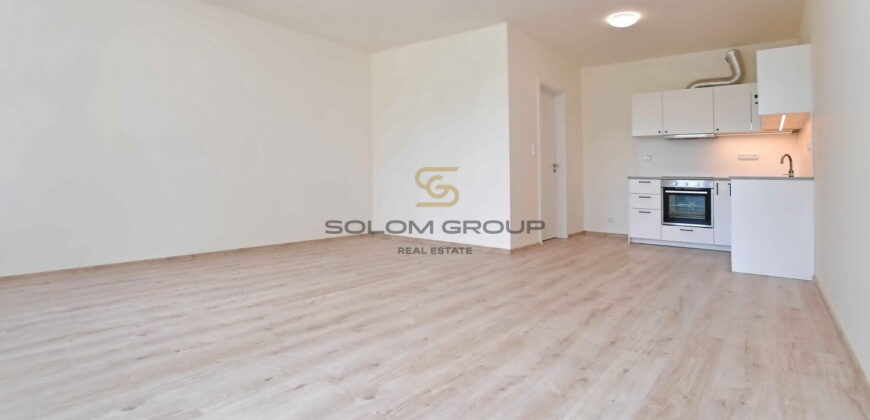 Pronájem bytu 1+kk/Balkon, 51 m², po rekonstrukci, Britská Čtvrť, novostavba