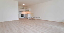 Pronájem bytu 1+kk/Balkon, 51 m², po rekonstrukci, Britská Čtvrť, novostavba