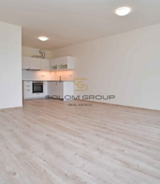 Pronájem bytu 1+kk/Balkon, 51 m², po rekonstrukci, Britská Čtvrť, novostavba