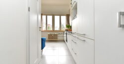 Pronájem bytu 1+1, 36 m², komora v bytě, Vinohrady, po rekonstrukci