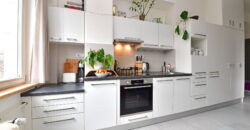 Pronájem bytu 1+1, 36 m², komora v bytě, Vinohrady, po rekonstrukci