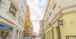 Prodej bytu 1+kk, 39 m2, DV, Dřevěná, Plzeň