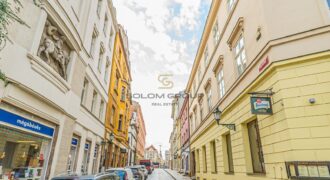 Prodej bytu 1+kk, 39 m2, DV, Dřevěná, Plzeň