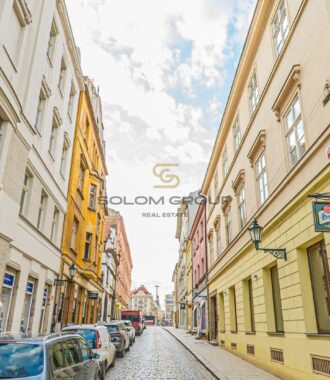 Prodej bytu 1+kk, 39 m2, DV, Dřevěná, Plzeň