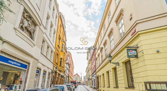 Prodej bytu 1+kk, 39 m2, DV, Dřevěná, Plzeň