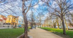 Prodej bytu 1+kk, 39 m2, DV, Dřevěná, Plzeň