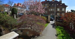 Pronájem bytu 2+kk, 44 m², Vinohrady, 2x komora v bytě, po celkové rekonstrukci